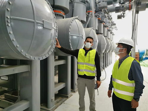 荒漠中有序推動埃及超高壓設備建設——?？藗愃闺姎獾膶嵺`與策略