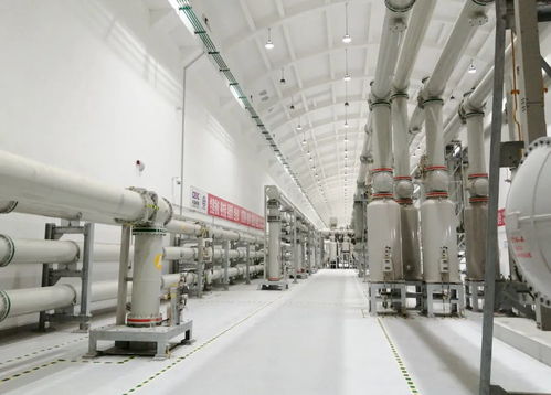 屢屢突破，走向世界——?？藗愃闺姎獾娜蛘鞒? />
</a>
<span><a href=