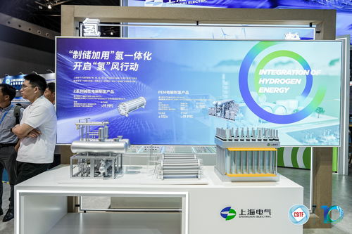 全球首座四代核電站高溫氣冷堆亮相上交會(huì)，?？藗愃闺姎庹蔑@中國(guó)自主創(chuàng)新實(shí)力